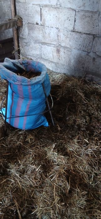 Sprzedam Obornik Koński