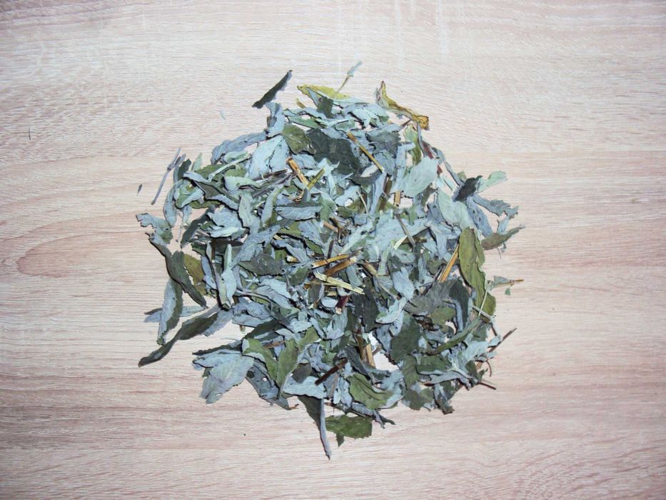 Липа. Лопух. Підмаренник. Фіалка. Омела. Конюшина. Деревій. Осика.