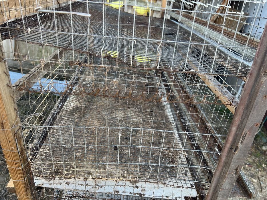 Клетка для перепелов