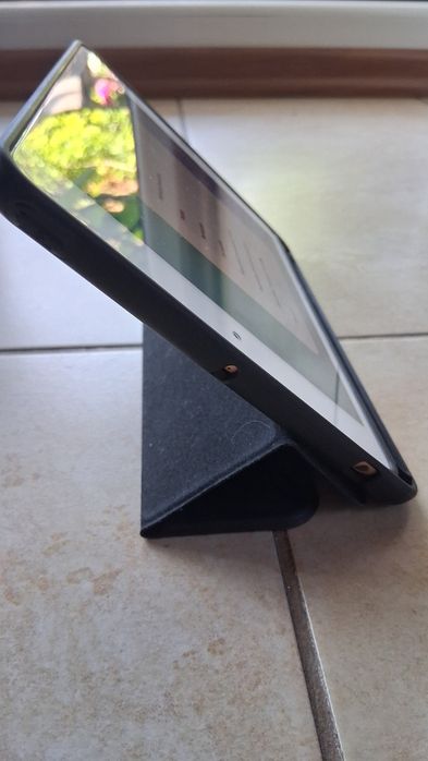 iPad mini 5 Gold z etui - 256GB