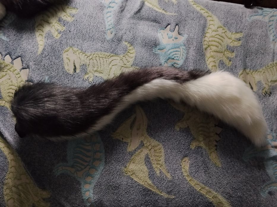 Fursuit Partial MQ/HQ Furry Koza