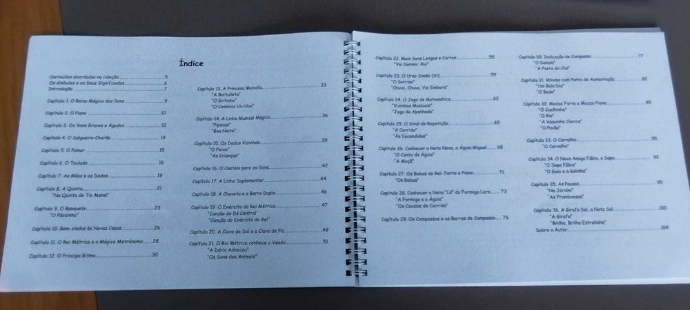 Livro PIANO Aprendizagem - IRINA GORIN