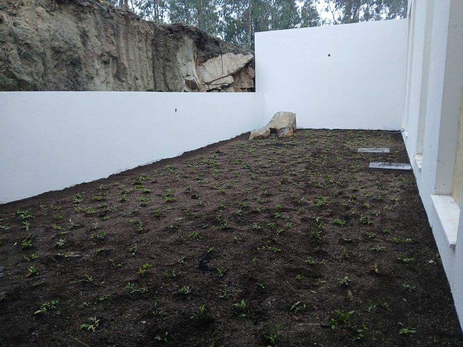 Tabuleiros de Grama Brasileira (Aplicação)