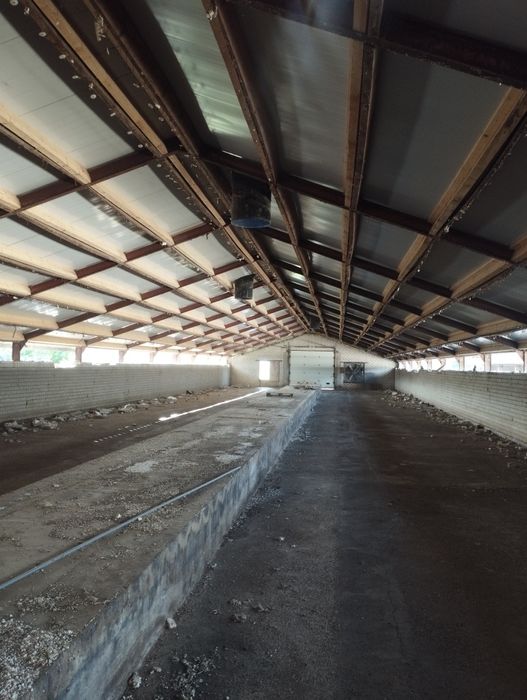 Konstrukcja stalowa hala kurnik 12x80m