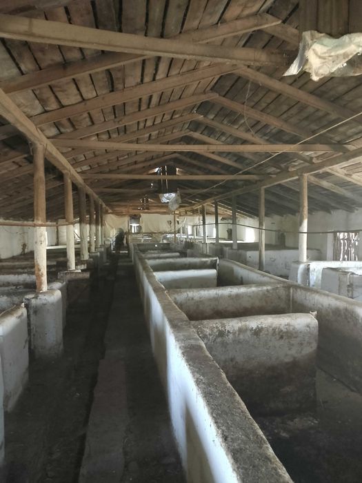 С/Х ферма(Свиноферма)