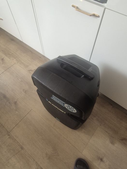 Głośnik Blaupunkt PA 15