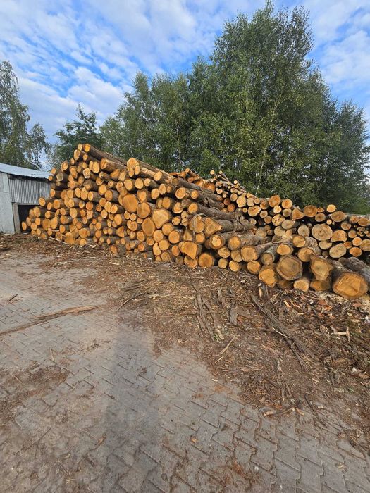 DĄB S2B - piękne drewno - wałki 2,5m OKAZJA!