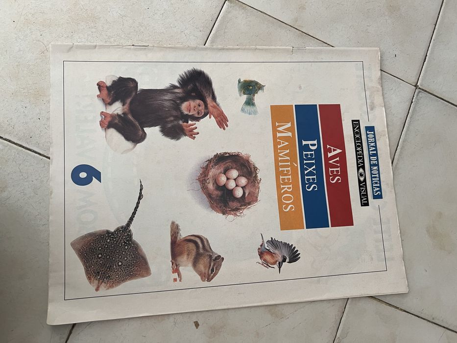 Revistas antigas JN Enciclopedia Visual