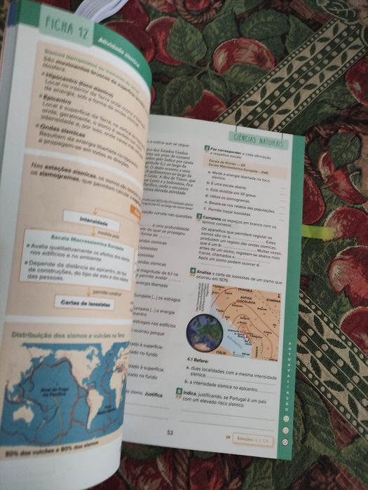 Revisões para todo o ano 7 ano (resumos e exercícios)