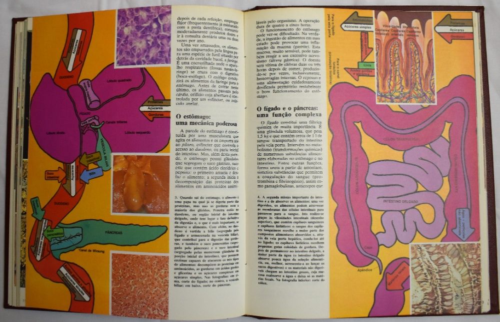 Enciclopédia Juvenil Alfa Estudante