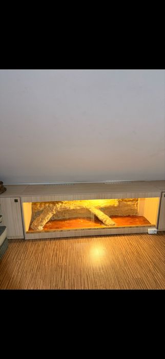 Sprzedam pilnie terrarium