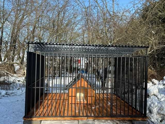 Kojec dla psa – solidny i wytrzymały