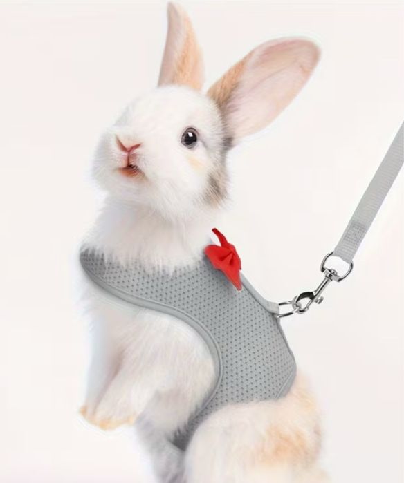 Тримач, поводок для собачки, кошечки чи кролика, тримач для тварини