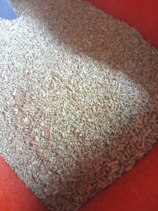 Owies ekologiczny certyfikat jako pellet