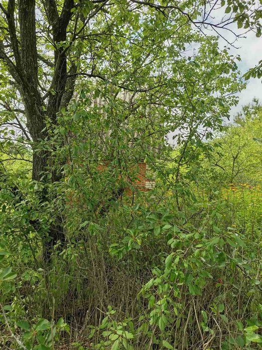 Продається Дача в Никонцах 10 соток двух-этажный дом кирпичный Джерело