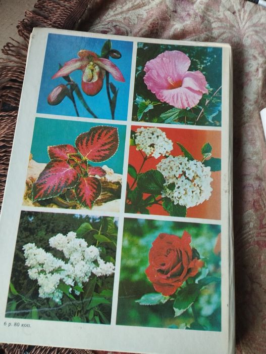 Книга про квіти та рослини для кімнати та саду