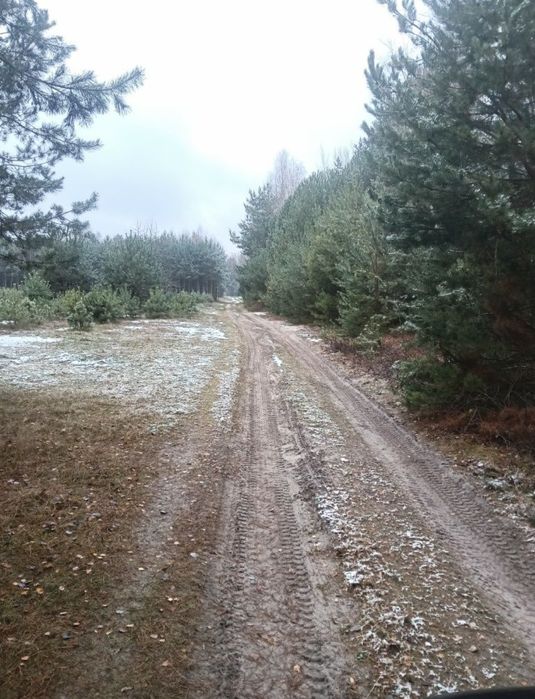 Działka rekreacyjna las staw 1,26Ha