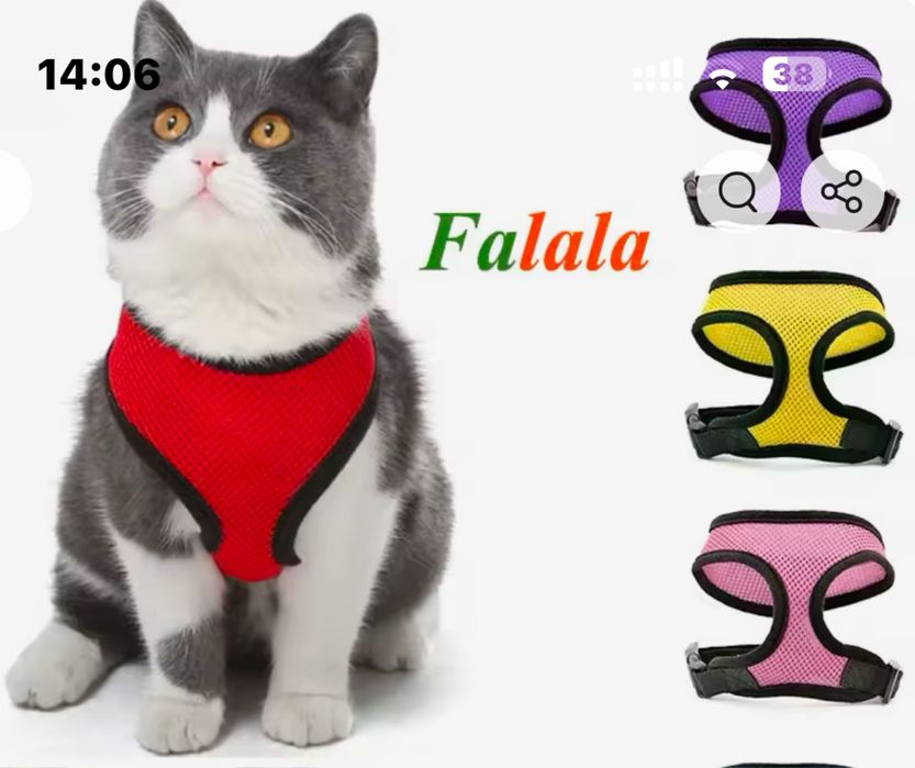 Ошийник для маленької собачки/кішки