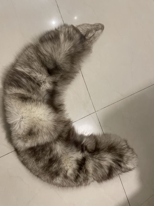 Szal z lisa oryginalny prawdziwy