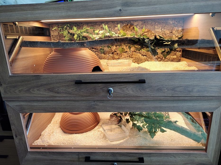 Terrarium drewniane