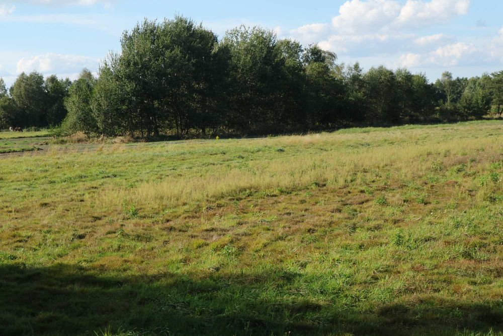 płaska, foremna działka z warunkami - Widok 2