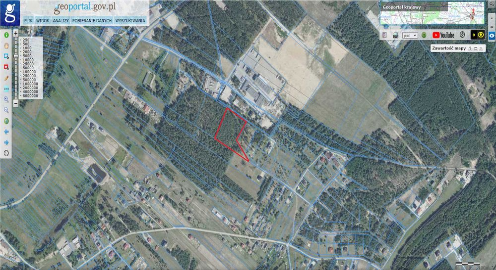 Las w miejscowości Niwy gmina Daleszyce 1,1248 ha