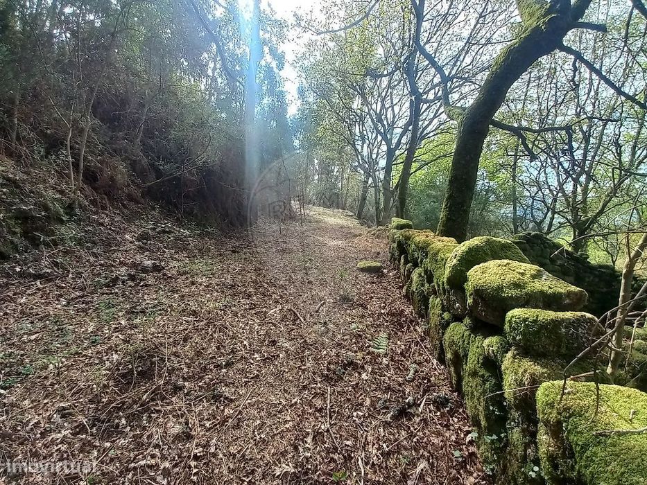 Terreno  para venda