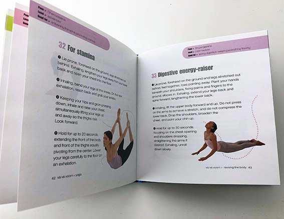 YOGA - Livro prático, portátil e completo para a prática de yoga.