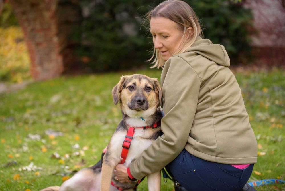 TULUKA - psi dzieciak uczy się żyć normalnie, szczeniak ok. 10 mscy