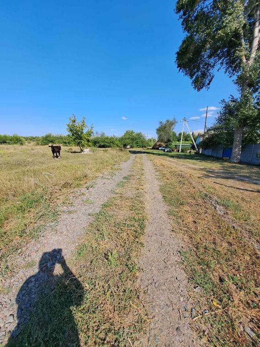 Продається земельна ділянка в мальовничому місці