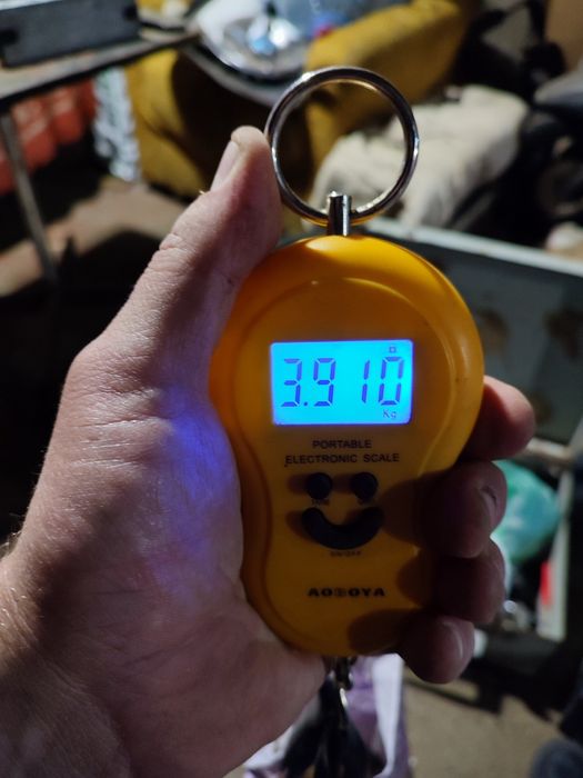 Продам карал и грунт всё вместе