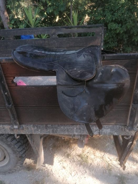 Utensílios para cavalo