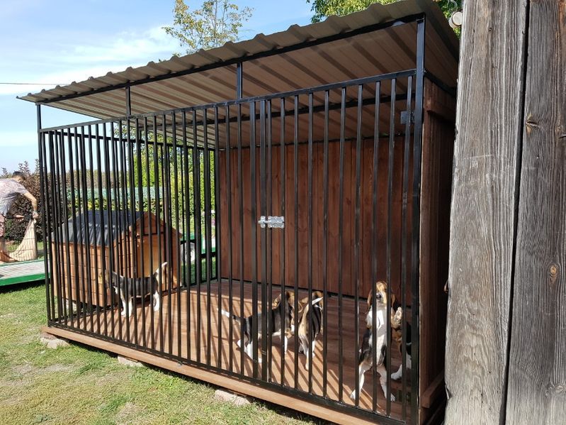 Kojec Klatka Zagroda Buda dla psa 3mx2m Montaż Gratis Solidny