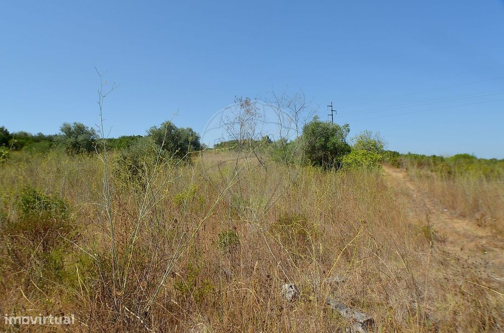 Terreno  para venda