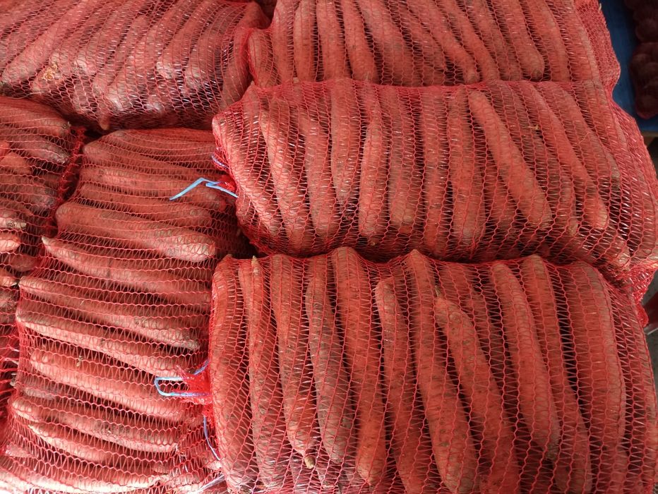 Sprzedam marchew ilości paletowe