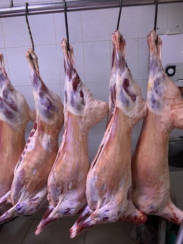 Продам Баранину!!!