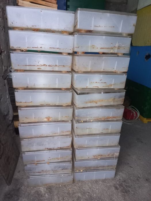 Годівниця потолочна для бджіл