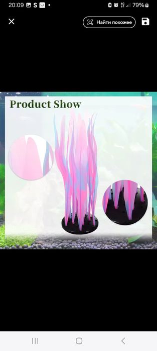 Водоросль в акваріум