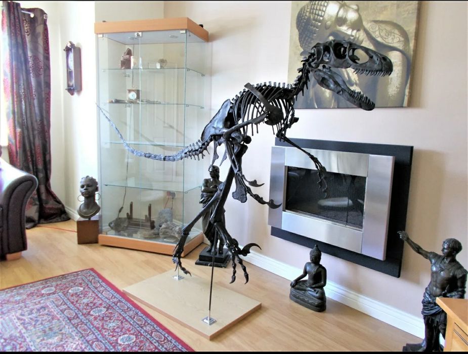 Fóssil de Raptor Deinonychus Velociraptor Utahraptor Esqueleto