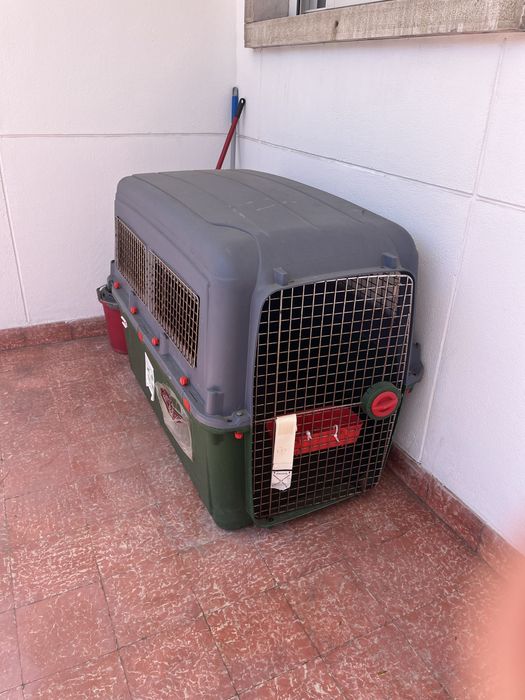Caixa de Transporte cão grande porte