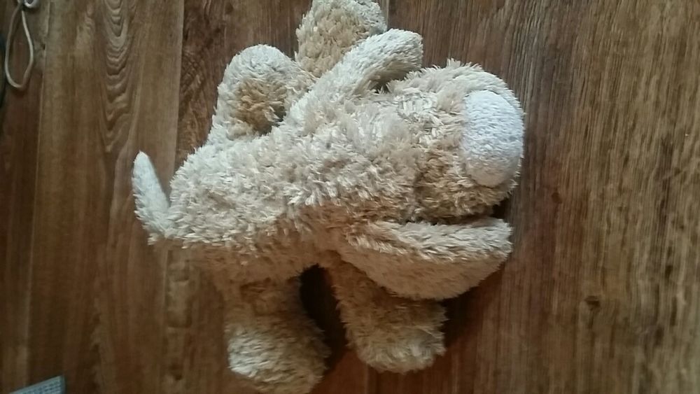 Мягкая собачка 20см.