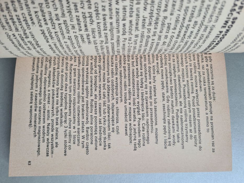 Rośliny ozdobne w mieszkaniu i na balkonie - Izabela Kiljańska