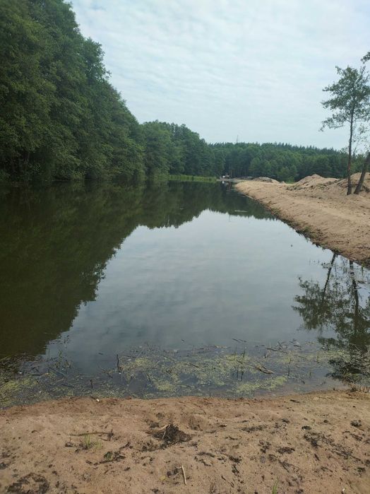 Usługi koparką,walcem,rob.ziemne,spycharka,spych,wyburzenia