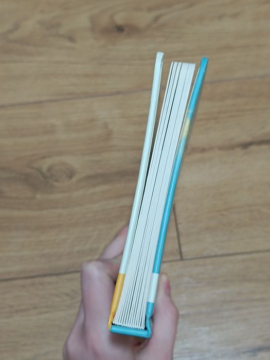 Книги дитячі Бодьо Брумм Слідча Неллі Плямка