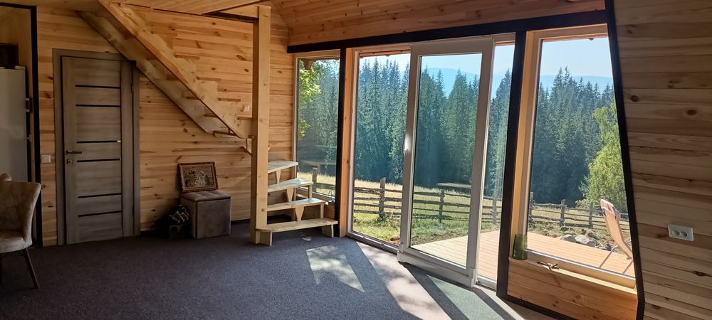 Будинок в горах. Відпочинок в Карпатах.