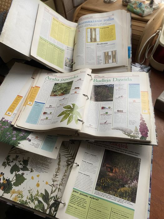 Magia ogrodów segregatory