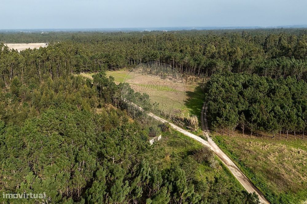 Terreno  para venda