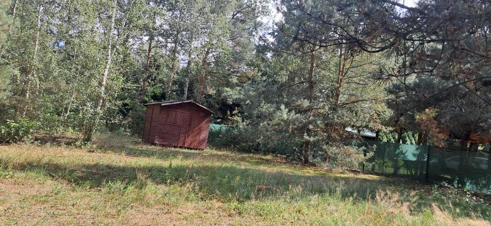 Działka 800 m² w Rogóźnie – blisko jezior Łukcze, Rogóźno i Piaseczno