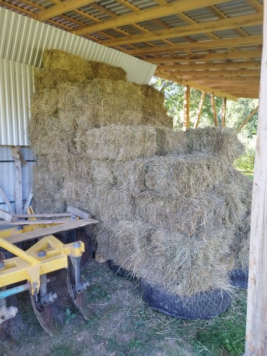 Тюки сіно солома 2025