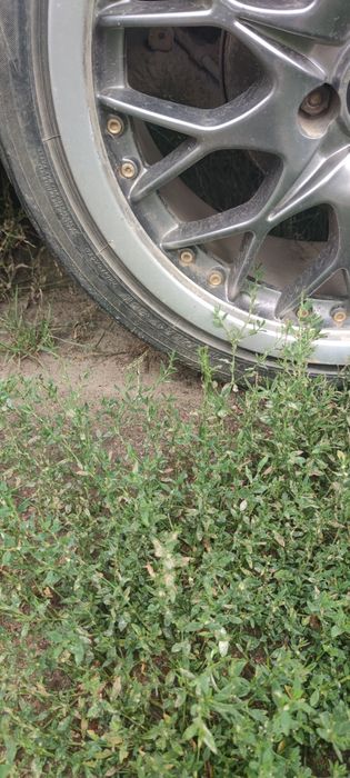 Диски Баракуда 4-100/r17